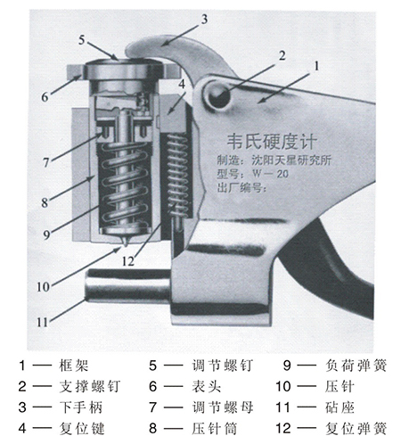 韋氏結(jié)果圖.jpg